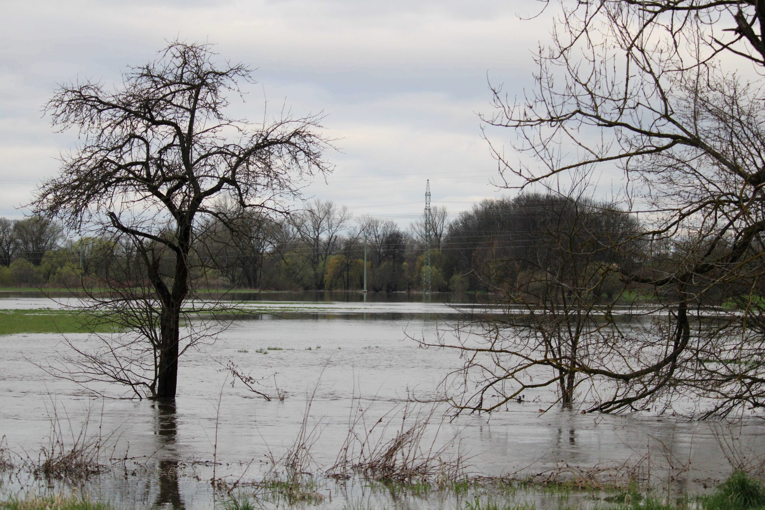 Poblíž Úhřetic, Dvakačovic a Vejvanovic se Novohradka vylila z břehů.