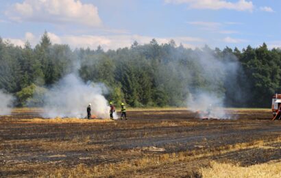 Hasiči důrazně žádají, aby lidé nerozdělávali oheň v přírodě