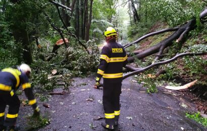 Hasiči v těchto deštivých dnech vyjíždějí častěji k padajícím stromům.