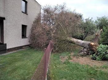 Noční bouřky zaměstnaly hasiče v Pardubickém kraji