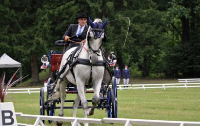 Mistrovství ČR v jízdě spřežení začalo. Heřmanův Městec přivítá nového mistra Mistrovství ČR v jízdě spřežení začalo. Heřmanův Městec přivítá nového mistra