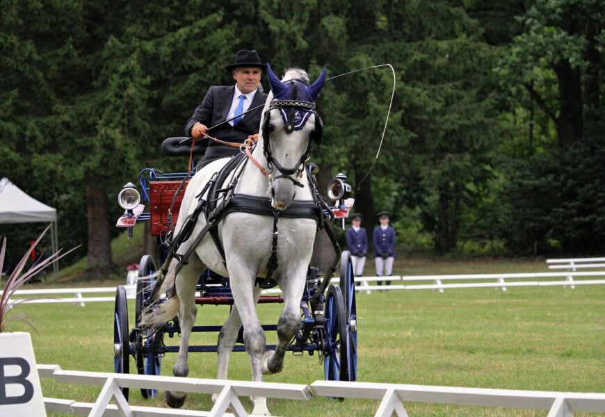Mistrovství ČR v jízdě spřežení začalo. Heřmanův Městec přivítá nového mistra
