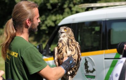 Záchranná stanice Pasíčka vypustila další výry