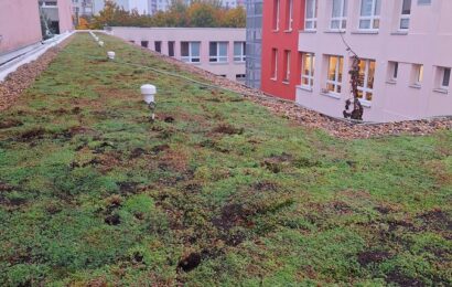 Pardubice mají první školu se zelenou střechou