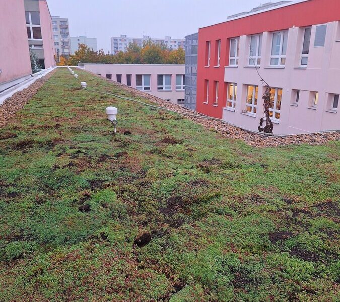 Pardubice mají první školu se zelenou střechou