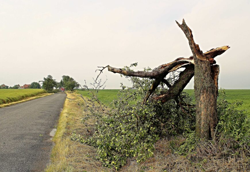 Varování meteorologů. Česko ve čtvrtek a v pátek zasáhne silný vítr