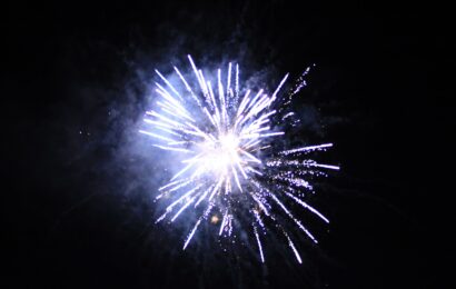 Silvestr a zábava? Volně žijící tvorové to vidí jinak