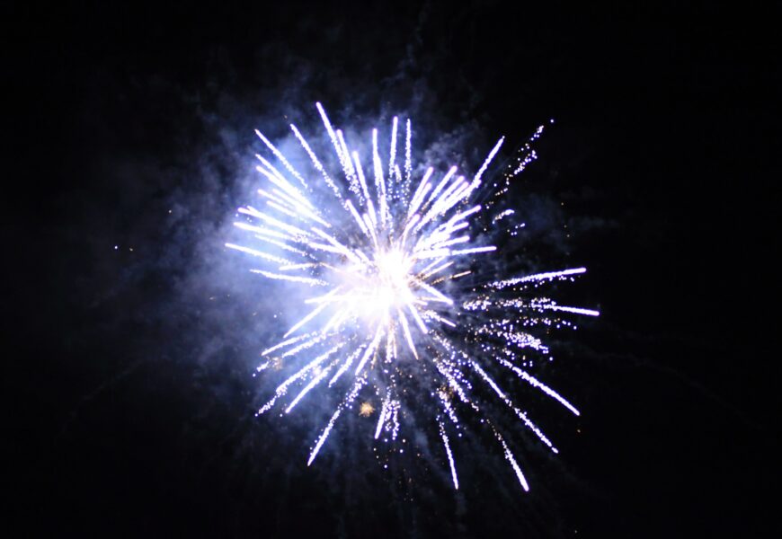 Silvestr a zábava? Volně žijící tvorové to vidí jinak