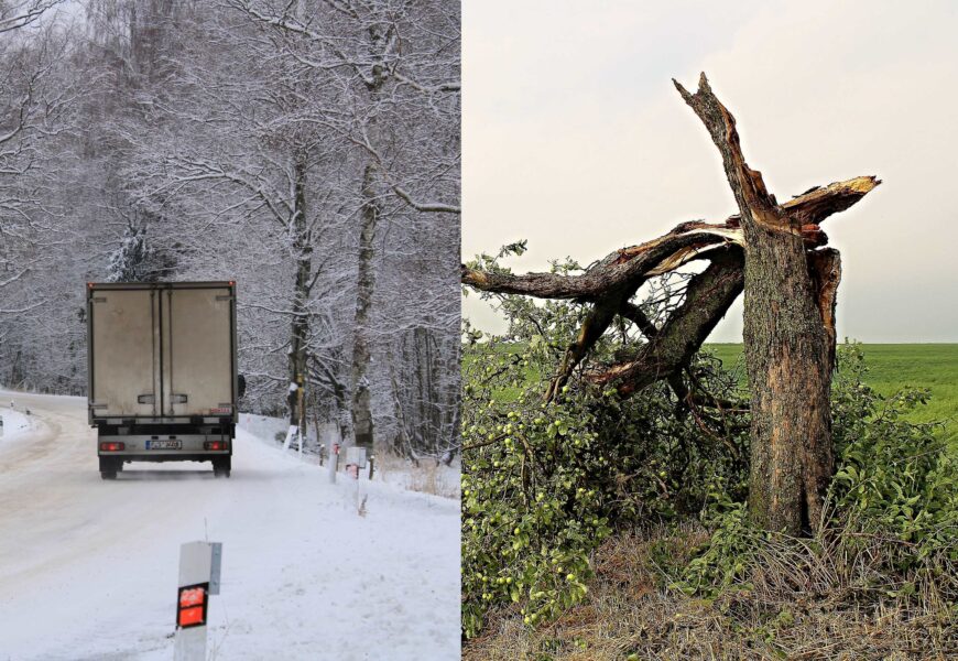 Varování meteorologů se naplnilo. Česko zasáhl silný vítr. Hasiči v Pardubickém kraji mají desítky výjezdů