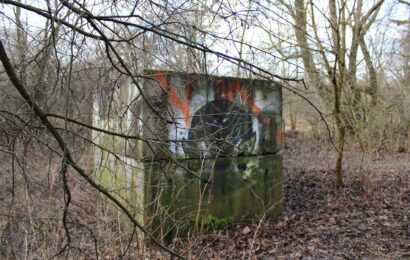 Revitalizace v přírodní lokalitě Červeňák pokračují