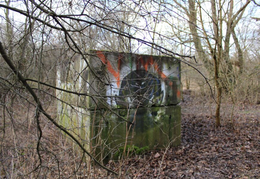 Revitalizace v přírodní lokalitě Červeňák pokračují