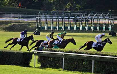 Dostihový spolek snižuje startovné a připravuje deset dostihových dnů