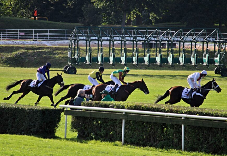 Dostihový spolek snižuje startovné a připravuje deset dostihových dnů