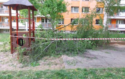 V Pardubicích spadl strom na dětské hřiště