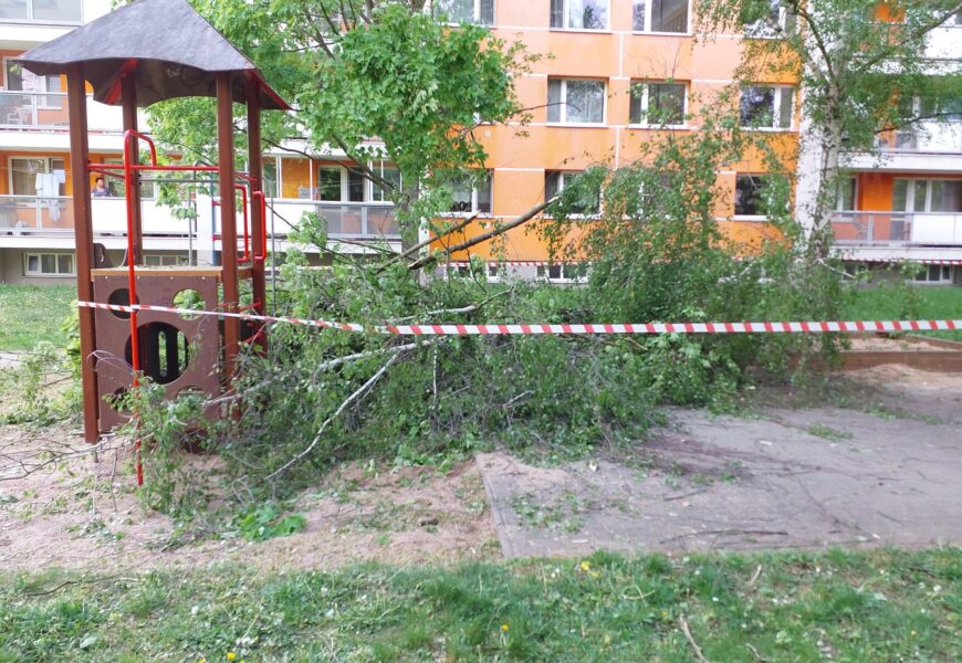 V Pardubicích spadl strom na dětské hřiště