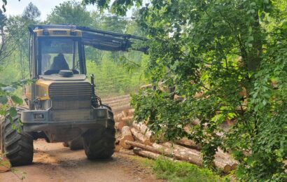 Situace s kůrovcem se v Pardubickém kraji zlepšila. Žadatelů o podporu těžby napadeného dřeva zatím ubylo