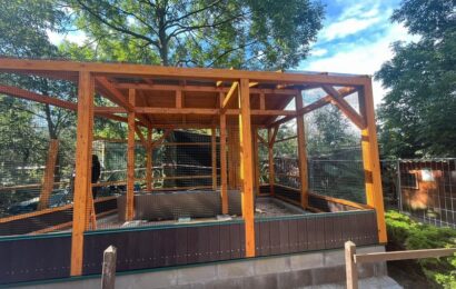 Záchranná stanice Pasíčka na Chrudimsku bude mít nejmodernější voliéry v republice