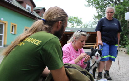 Zraněná a nemocná zvířata s létem přibývají. Záchranná stanice Pasíčka řeší desítky případů denně