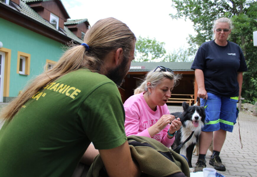 Zraněná a nemocná zvířata s létem přibývají. Záchranná stanice Pasíčka řeší desítky případů denně
