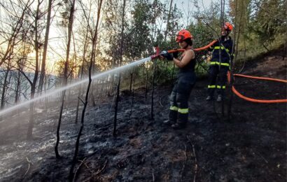 Příčina lesního požáru u Městečka Trnávka odhalena Příčina lesního požáru u Městečka Trnávka odhalena