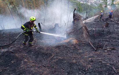 U Městečka Trnávky hoří les. Požár hasí hasiči ze tří krajů a i dnes byl povolán i vrtulník
