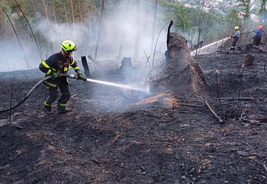 U Městečka Trnávky hoří les. Požár hasí hasiči ze tří krajů a i dnes byl povolán i vrtulník