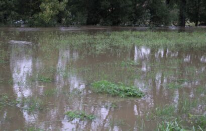 Chrudimka v Nemošicích je na třetím stupni, ale zatím stabilní