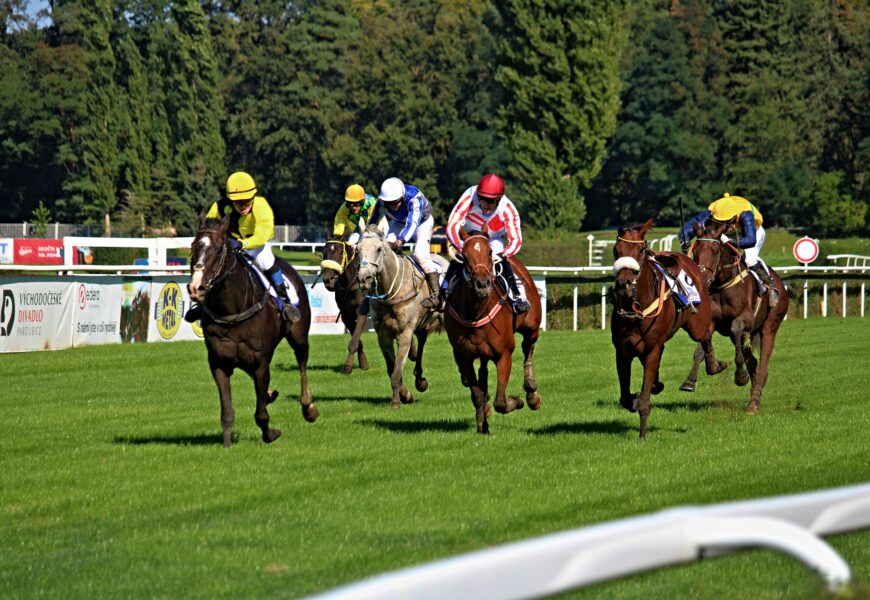 VIDEO: Letní cena města Pardubic a dvoudenní mítink. Neděle a pondělí ve znamení dostihů VIDEO: Letní cena města Pardubic a dvoudenní mítink. Neděle a pondělí ve znamení dostihů