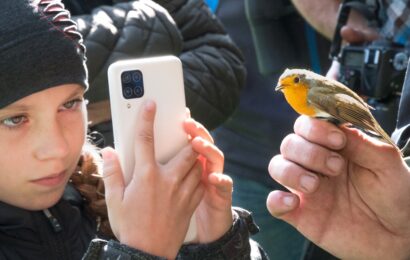 Festival ptactva proběhne opět v neděli v rybniční krajině u Lázní Bohdanče