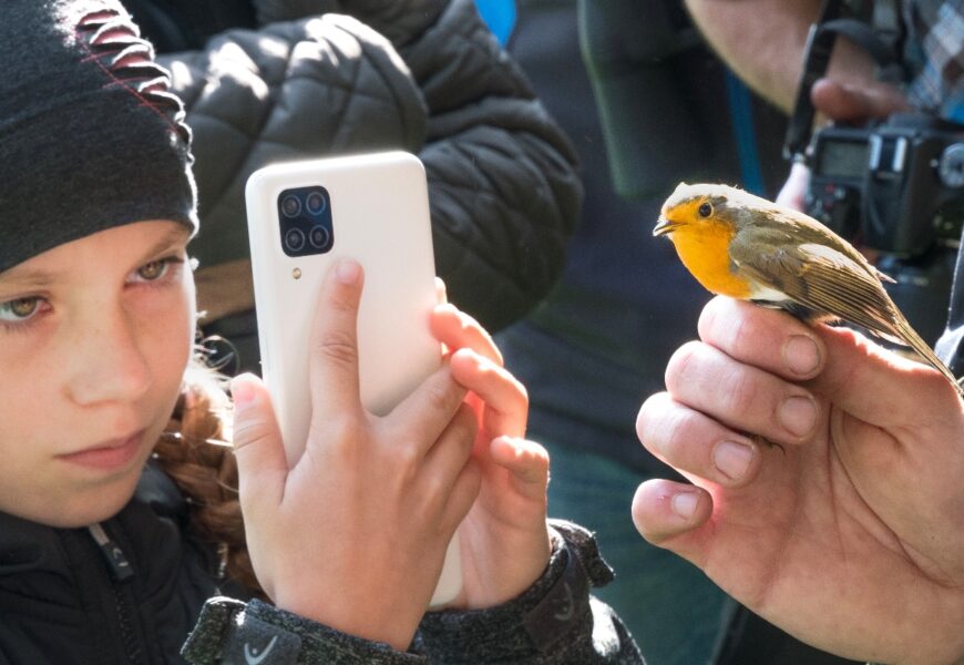 Festival ptactva proběhne opět v neděli v rybniční krajině u Lázní Bohdanče