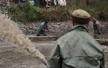 VIDEO, GALERIE: Bohdanečský rybník je vyloven. Víme kolik bude stát vánoční kapr a proč kroužkovat ptáky