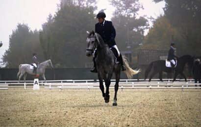 VIDEO: Hřebčín Slatiňany zažil poslední drezurní závody v tomto roce