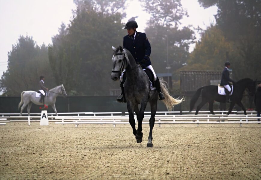 VIDEO: Hřebčín Slatiňany zažil poslední drezurní závody v tomto roce VIDEO: Hřebčín Slatiňany zažil poslední drezurní závody v tomto roce