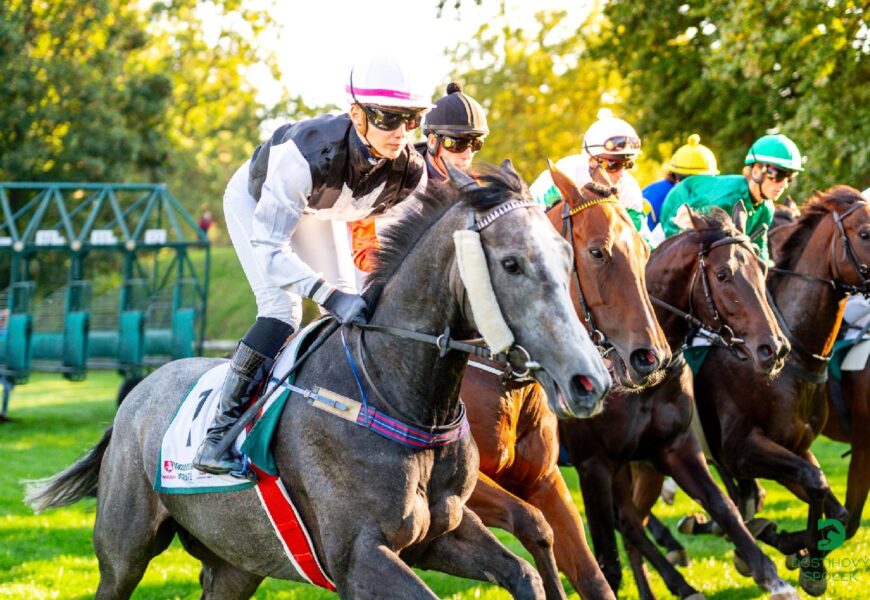 Sobotní smíšený dostihový program ve znamení pětice jedniček Sobotní smíšený dostihový program ve znamení pětice jedniček
