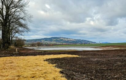 Dvouhektarová nádrž u Biskupic má zlepšit vodní režim Malé Hané