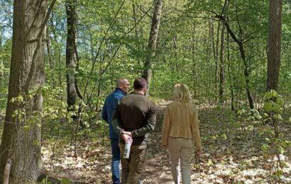 Pardubice pokračují v péči o své lesy. Letos s novým plánem Pardubice pokračují v péči o své lesy. Letos s novým plánem