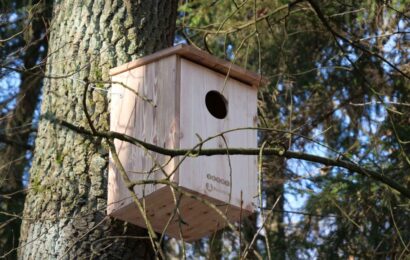 V Pardubicích zapojilo město veřejnost do výroby ptačích budek pro městské lesy