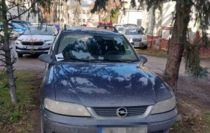 Strážníci v Pardubicích se zaměří na ochranu zeleně. Řešit bude nešetrné parkování