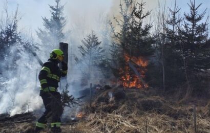 V Kladně na Chrudimsku hořela část lesa