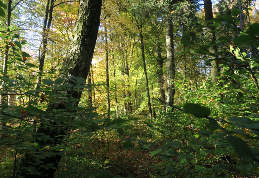 Pardubický kraj podpoří dotacemi chovatele, myslivce i péči o krajinu Pardubický kraj podpoří dotacemi chovatele, myslivce i péči o krajinu