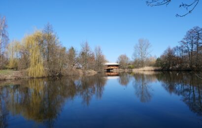 Čičák v parku Na Špici prochází proměnou. Vzniknou nové tůně a zpevněné břehy Čičák v parku Na Špici prochází proměnou. Vzniknou nové tůně a zpevněné břehy
