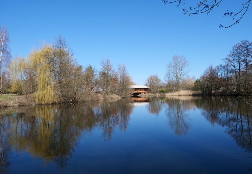 Čičák v parku Na Špici prochází proměnou. Vzniknou nové tůně a zpevněné břehy