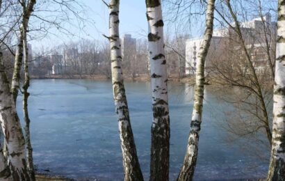 Stát převede městu bezúplatným převodem část pozemku u Bajkalu