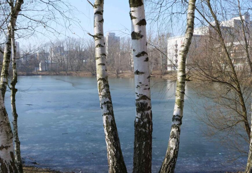 Stát převede městu bezúplatným převodem část pozemku u Bajkalu