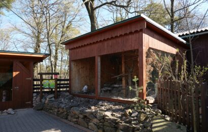 Nové voliéry v Pasíčkách pomohou vrátit zvířata do přírody. Pardubice podporují záchrannou stanici třetím rokem Nové voliéry v Pasíčkách pomohou vrátit zvířata do přírody. Pardubice podporují záchrannou stanici třetím rokem