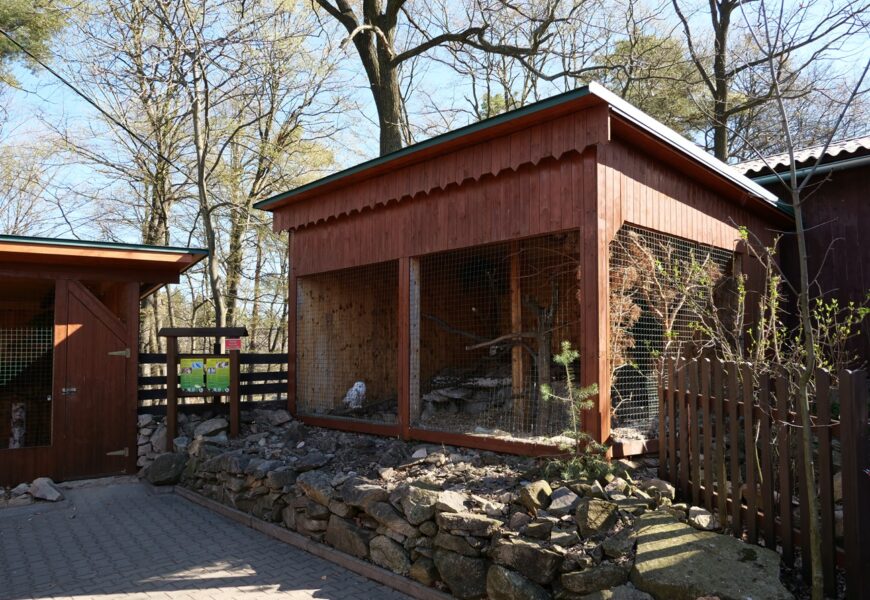 Nové voliéry v Pasíčkách pomohou vrátit zvířata do přírody. Pardubice podporují záchrannou stanici třetím rokem Nové voliéry v Pasíčkách pomohou vrátit zvířata do přírody. Pardubice podporují záchrannou stanici třetím rokem