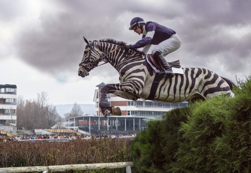 To tu ještě nebylo. Velkou pardubickou letos poběží zebra. To tu ještě nebylo. Velkou pardubickou letos poběží zebra.