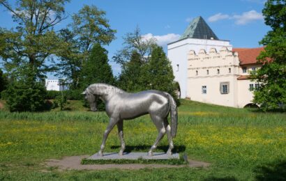 Kůň Michala Gabriela může v Pardubicích zůstat natrvalo Kůň Michala Gabriela může v Pardubicích zůstat natrvalo
