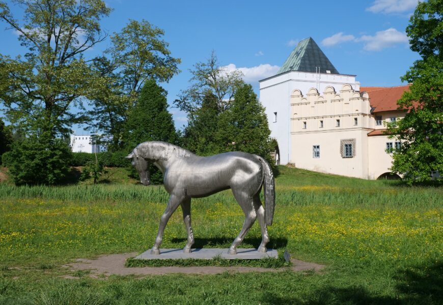 Kůň Michala Gabriela může v Pardubicích zůstat natrvalo