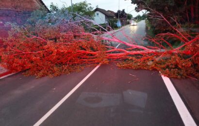 Silný vítr během nedělního dne zaměstnával hasiče
